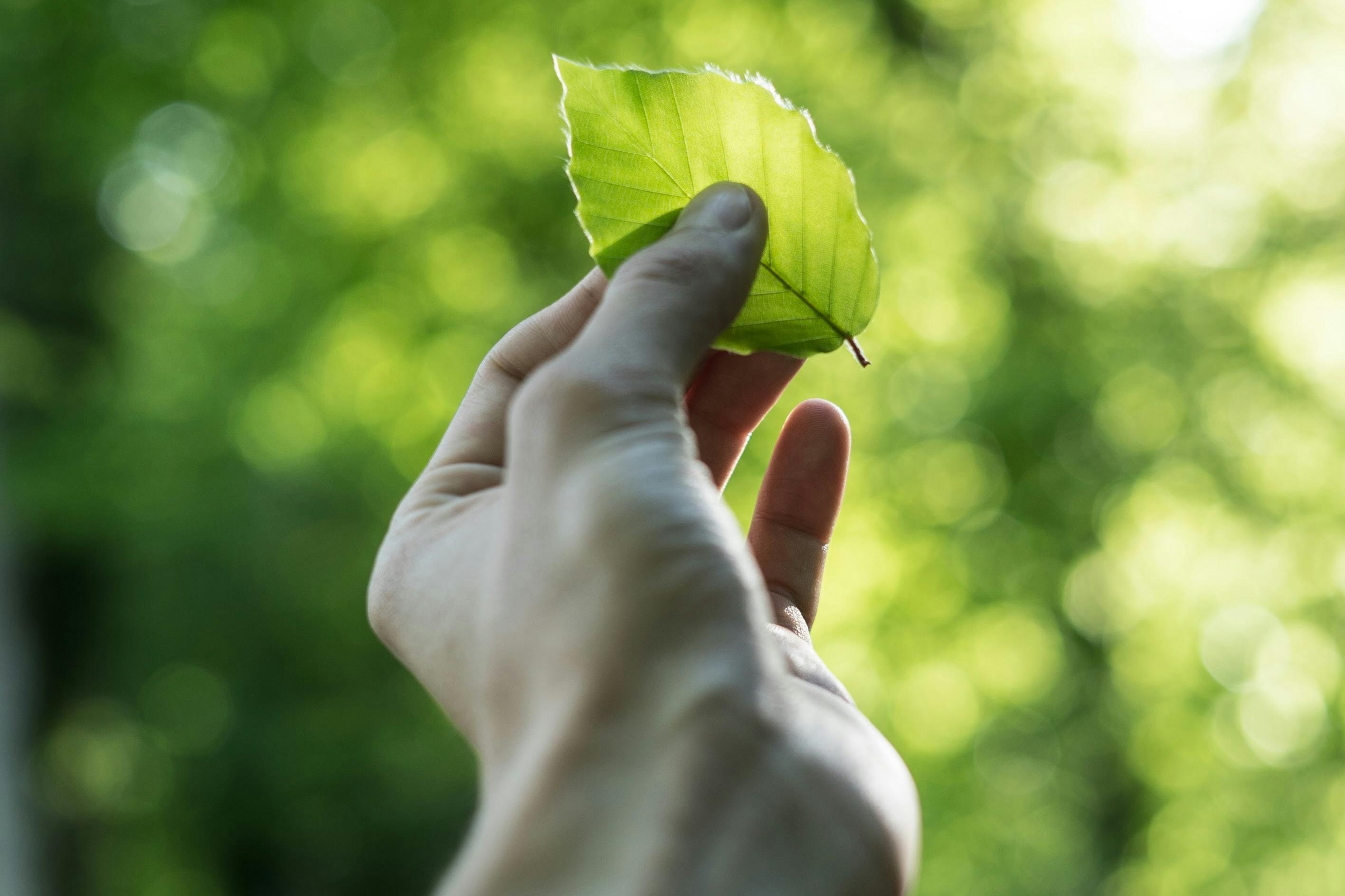 聚苯乙烯壓實機：可靠的泡沫減容處理設備